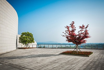 Pavimenti per esterni: come scegliere il materiale giusto
