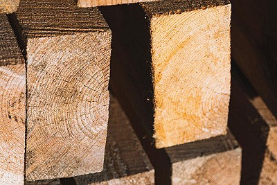 Bioedilizia: come si sceglie il legname da costruzione