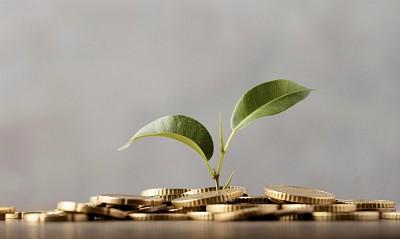 Investimenti in bioedilizia: perch il 2025 ha segnato una svolta per l'Italia