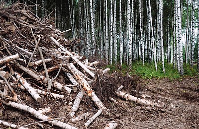 Materiali circolari: le innovazioni che stanno cambiando l�edilizia sostenibile