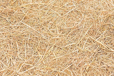 Case in legno e paglia: il futuro dell'abitare secondo la bioedilizia